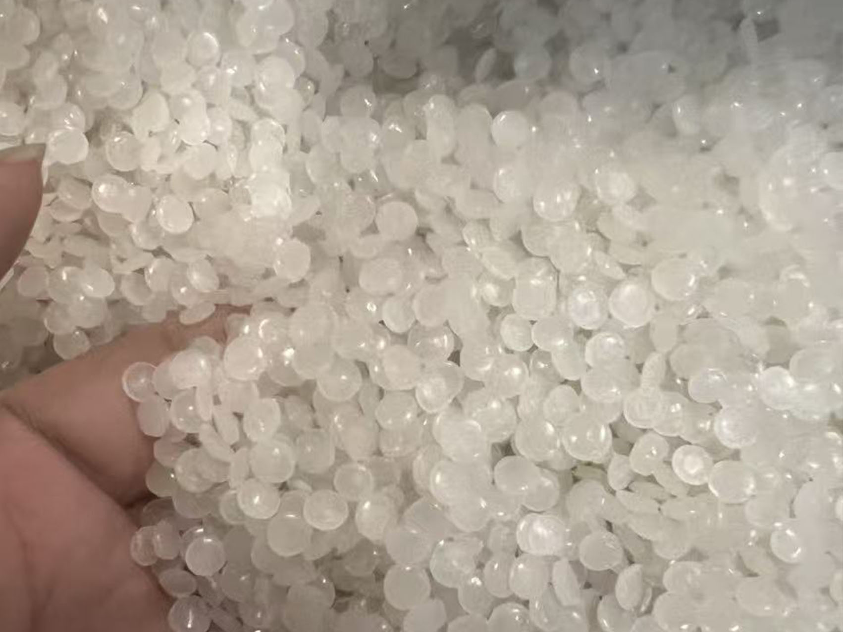 7c9a8f2d-5351-4b19-bf97-b9e00046f53f